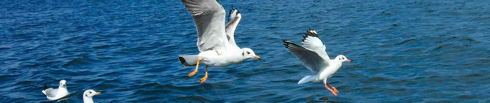 Take this 12 days southwestern China tour to the top tourist destinations in Yunnan, Guizhou and Guilin, follow our professional tour guide to enter into the Minority Kingdoms and learn about the colorful ethnic Chinese culture.