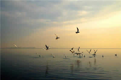Qionghai Lake