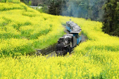 Jiayang Steam Train