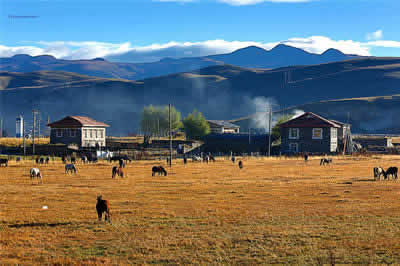 Kangding Tagong Grassland