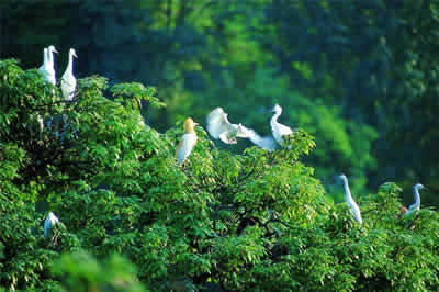 Chaoyang Lake Scenic spot