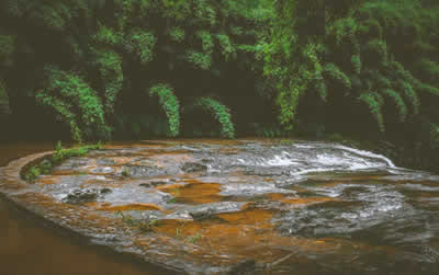 Ya'an White Horse Springs