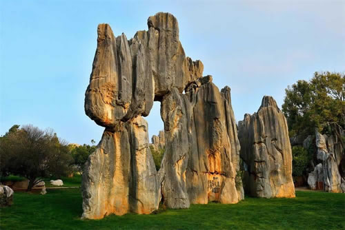 Stone Forest