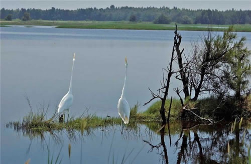 Bailuwan Wetland Park