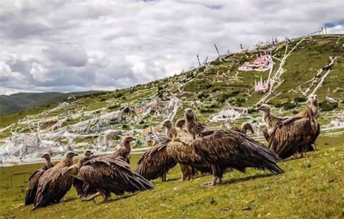 Dragon Lantern Grassland (Longdeng Grassland)