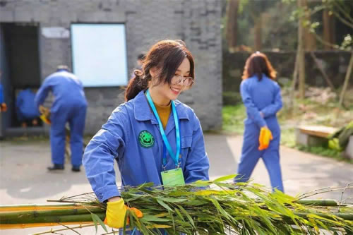 5-Days Chengdu In-Depth Tour Package For Panda Fans (Wolong, Dujiangyan, Giant Panda Base)