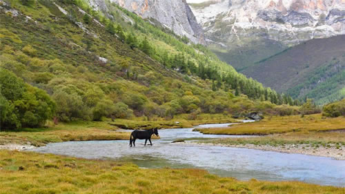 4 Days Daocheng Yading Photography Tour from Chengdu with Optional Horse Riding Experince