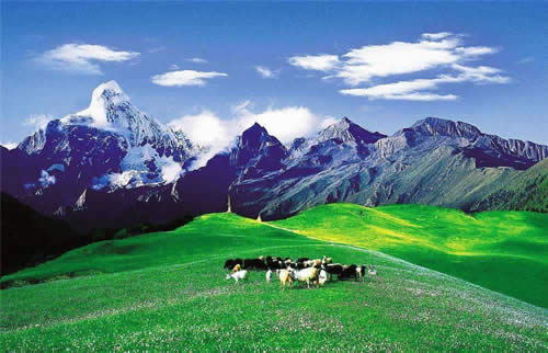 2 Days Danba Jiarong Tibetan Culture Tour from Chengdu by Flight