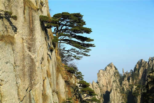 7 Days Charming Mt. Huangshan & Wuyuan Photography Tour