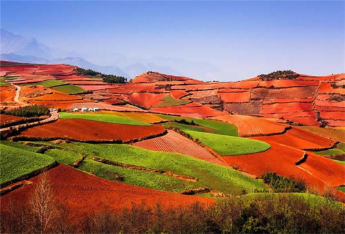 8 Days Yunnan In-Depth Photography Tour  (Kunming / Dongchuan / Yuanyang / Jianshui /  Kunming)