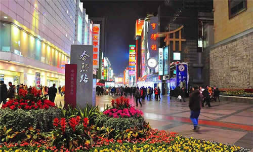 Private Half Day Chengdu Modern Architecture Sightseeing Tour