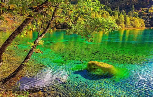 Travel in Chengdu: 5 Days Chengdu Jiuzhaigou Valley Winter Package Tour