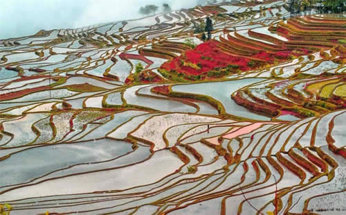 15 Days Sightseeing Tour of Scenic China & Rice Terraces