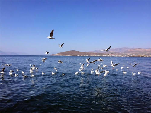 2 Days Dali Sightseeing Tour with Extension to Er'hai Lake 