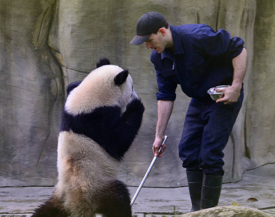 Private Full- Day Tour: Best Chengdu City Highlight Plus Panda Breeding Center