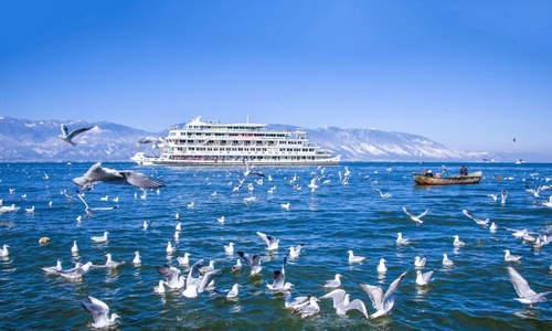 6 Days Kunming, Dali & Lijiang Yunnan Tour Experience