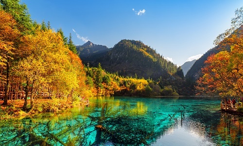 Explore Scenic Wonders on an 8-Day Chongqing Chengdu Tour: From Bustling Cities to Jiuzhaigou’s Natural Beauty