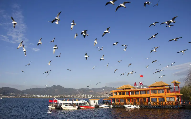 Yunnan Private Tour: Explore Kunming’s Scenic Highlights & Culture
