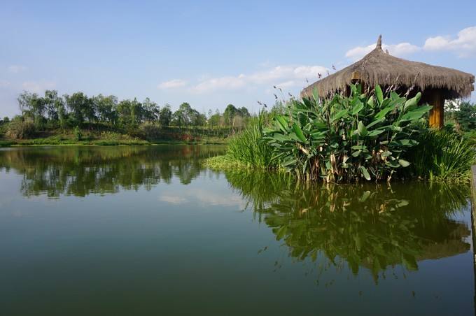 Chengdu_Bailuwan_Ecological_Wetland_Park.jpg