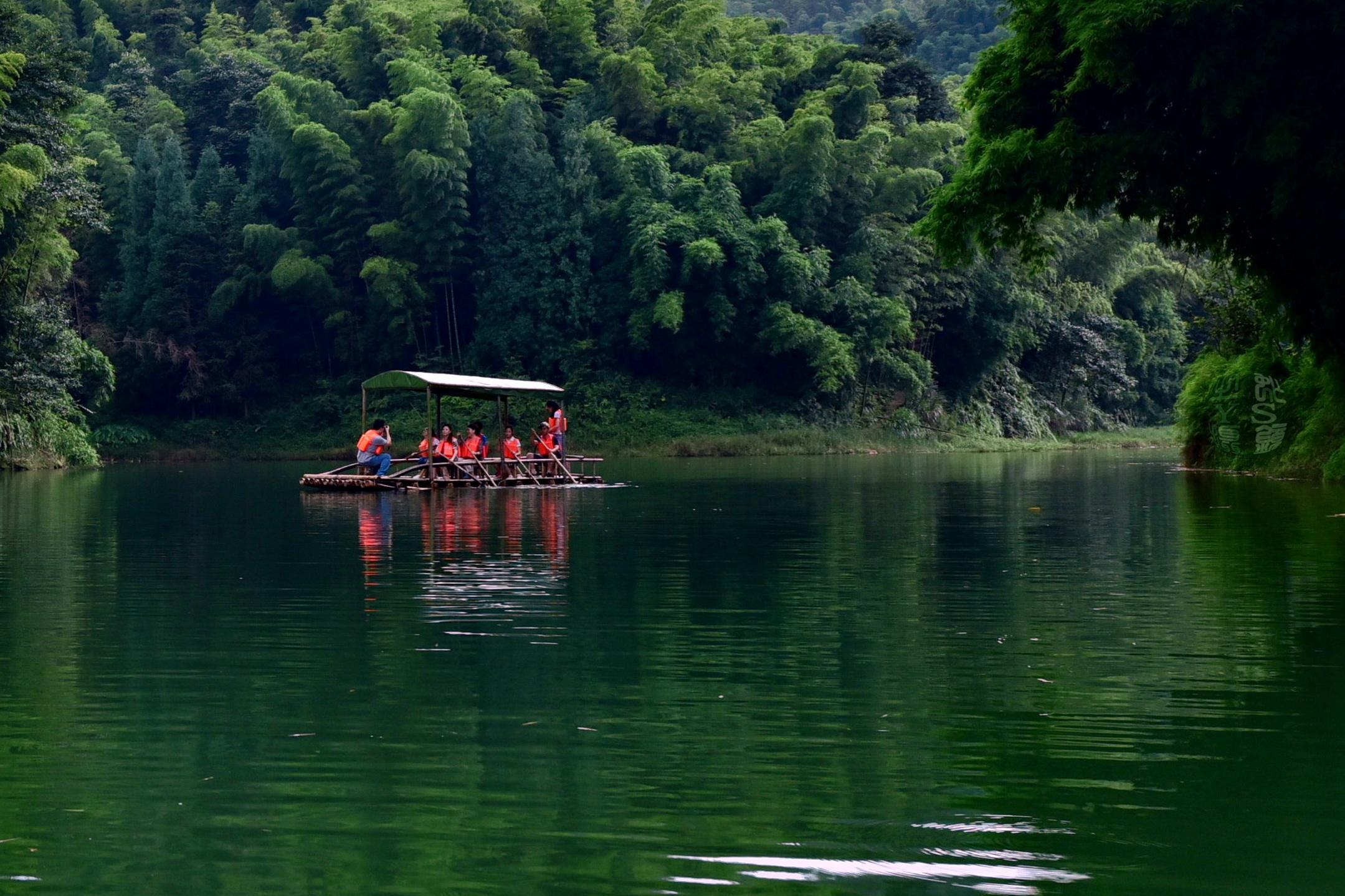 Southern_Sichuan_Bamboo_Forest_4.jpg