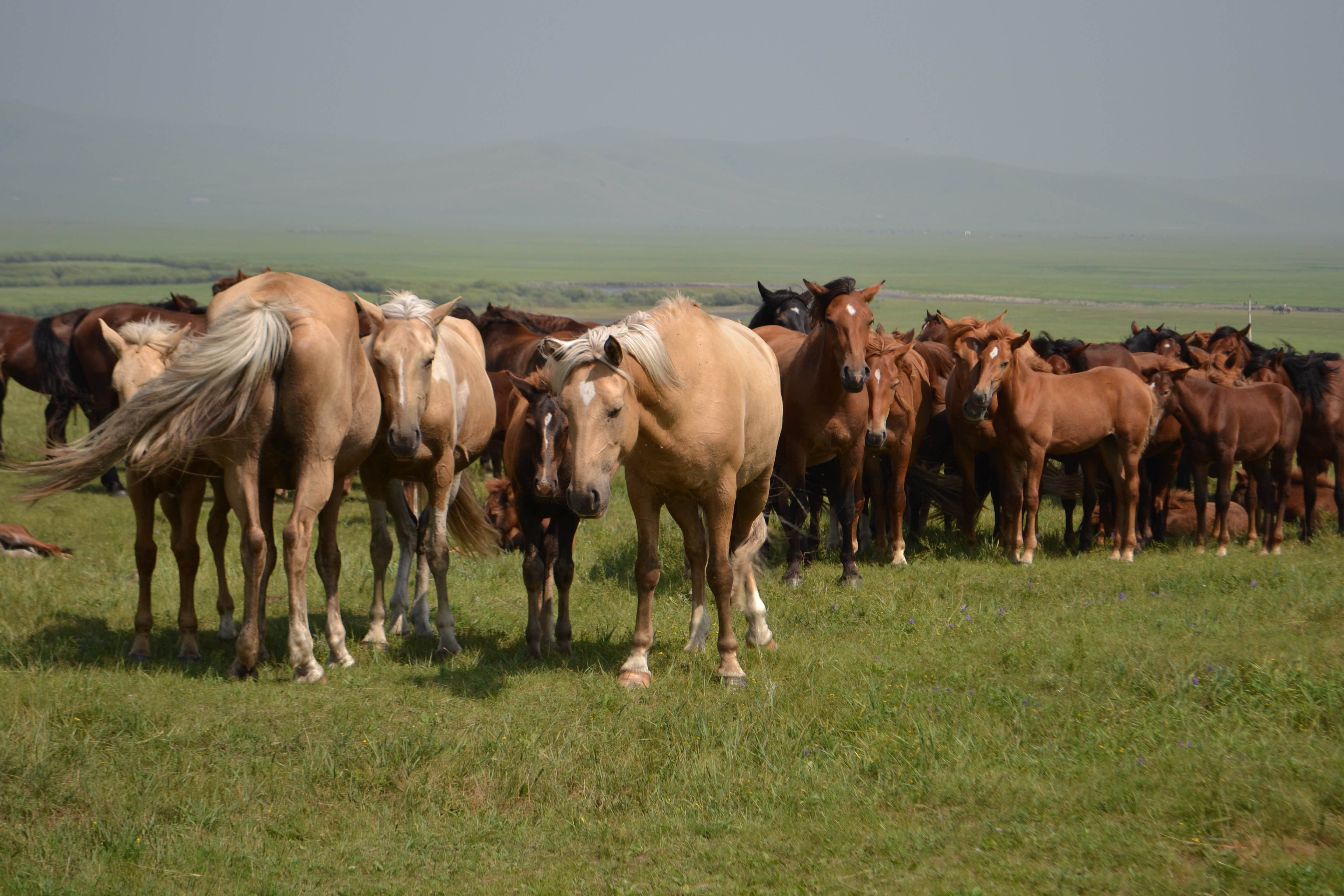 Beijing_Inner_Mongolia_Classic_Tour_3.jpg