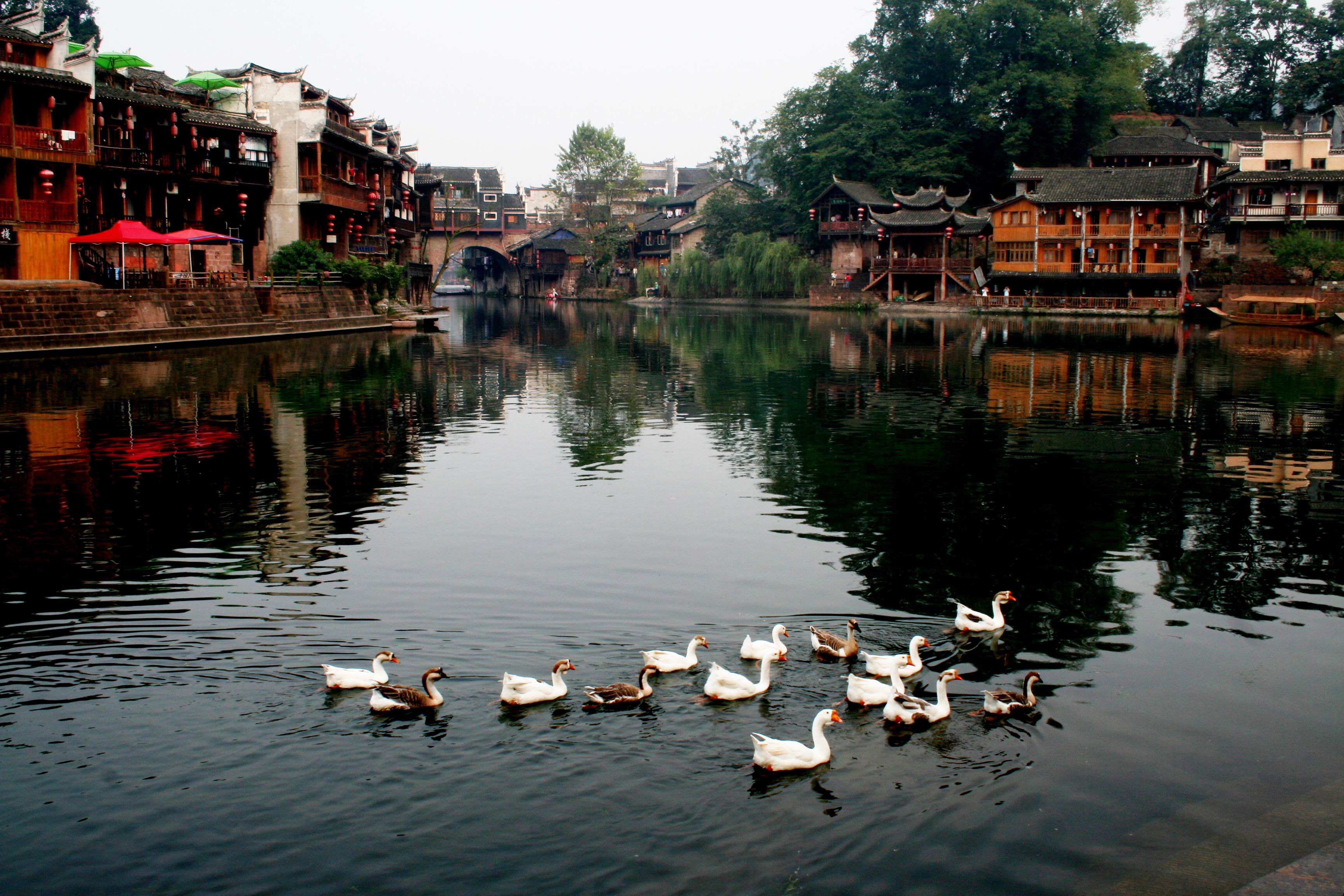 15_Days_China_Tour_with_Visiting_Guangzhou_Yangshuo_Guiyang_Zhangjiajie_and_Shanghai_37.jpg