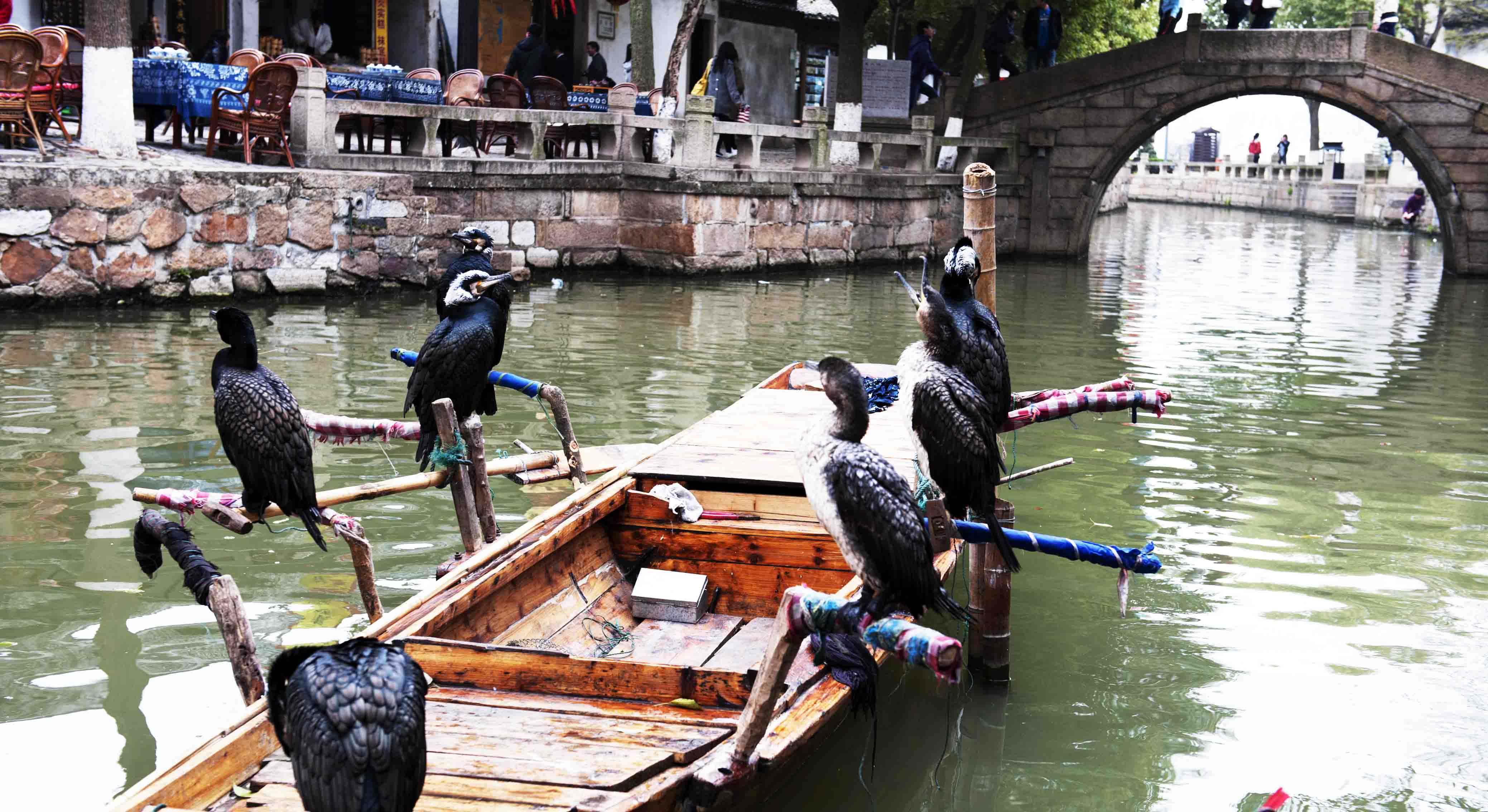 Tongli_Water_Town.jpg