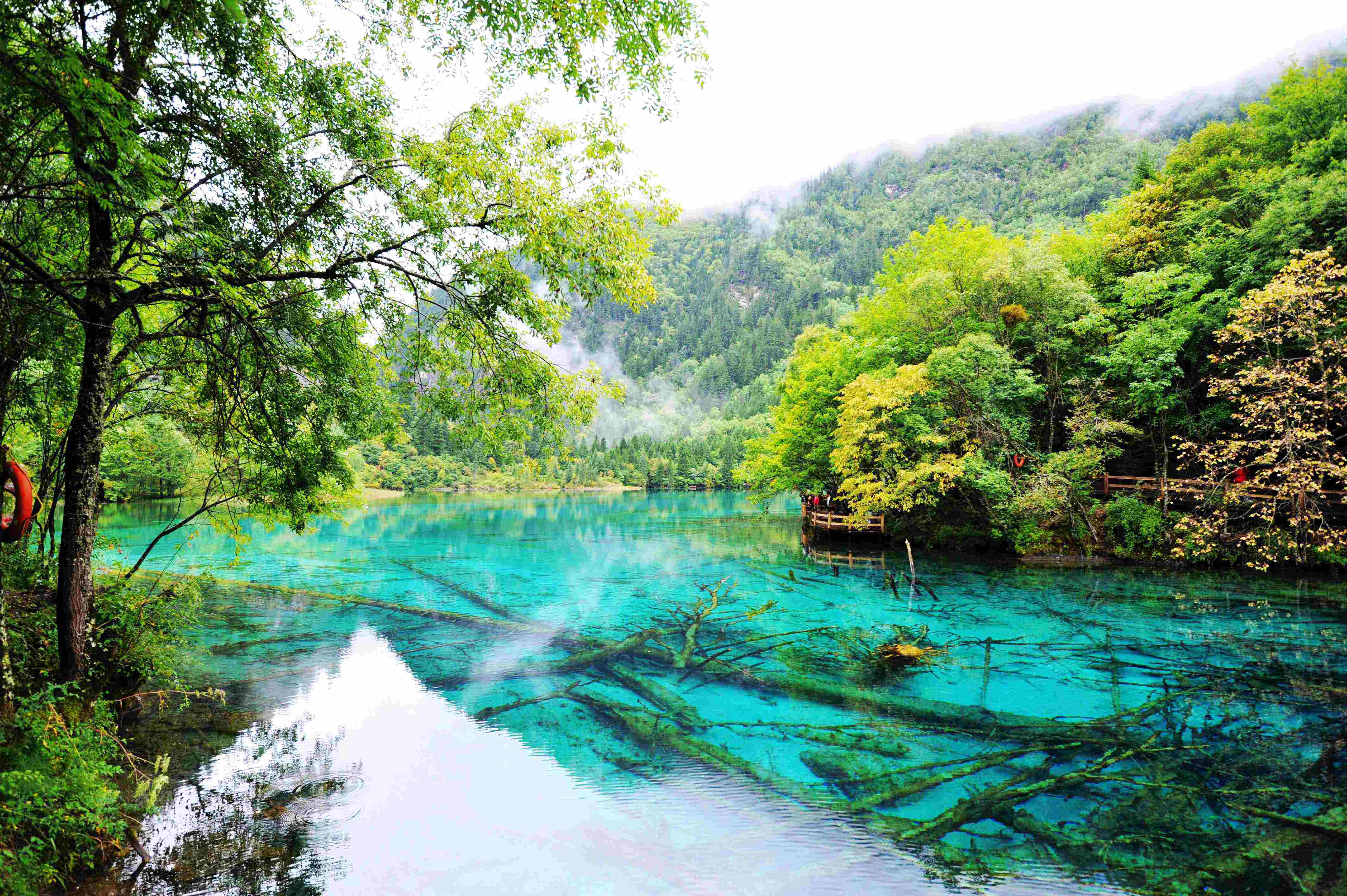 Jiuzhaigou.jpg