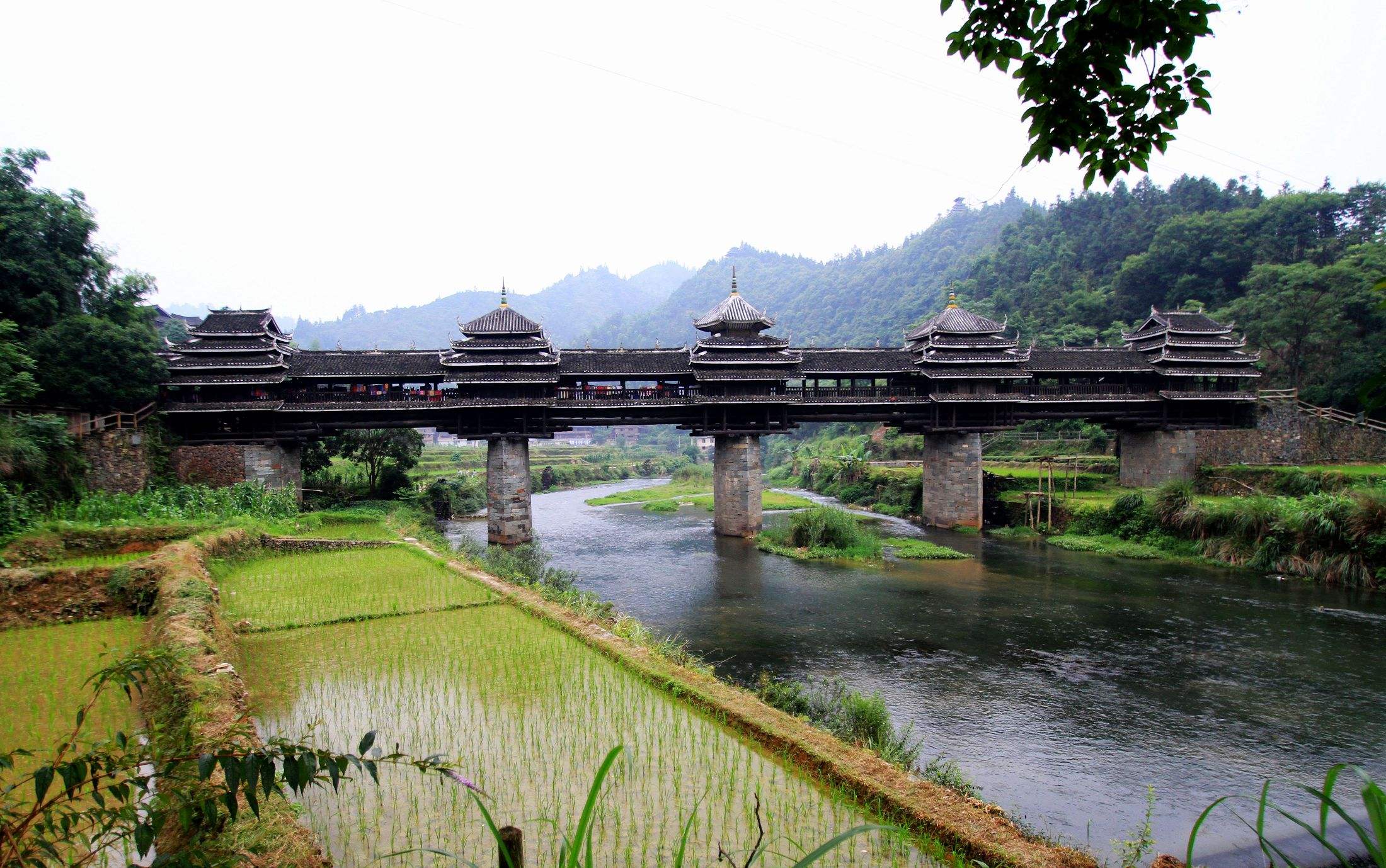 17_Days_Guizhou_Yunnan_Colorful_Minority_Tour_4.jpg