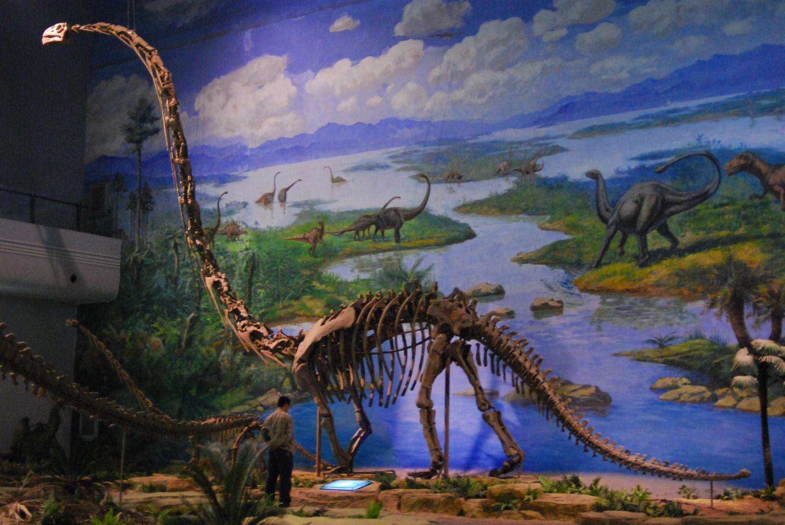 Dinosaur_Museum_2.jpg