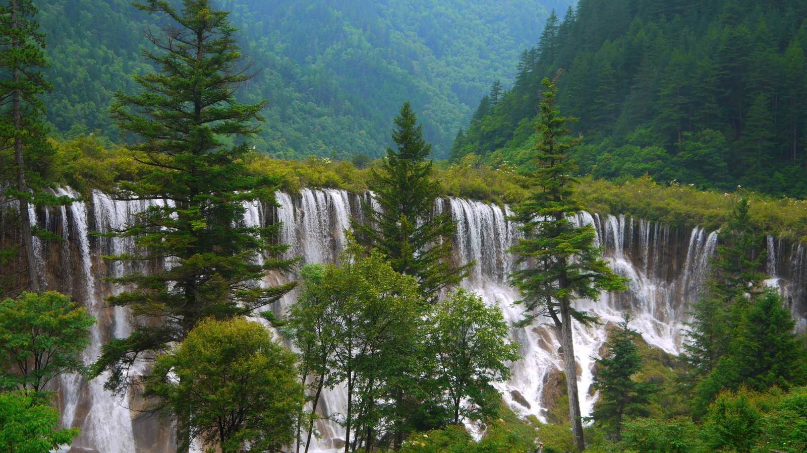 Jianyuan_Virgin_forest.jpg