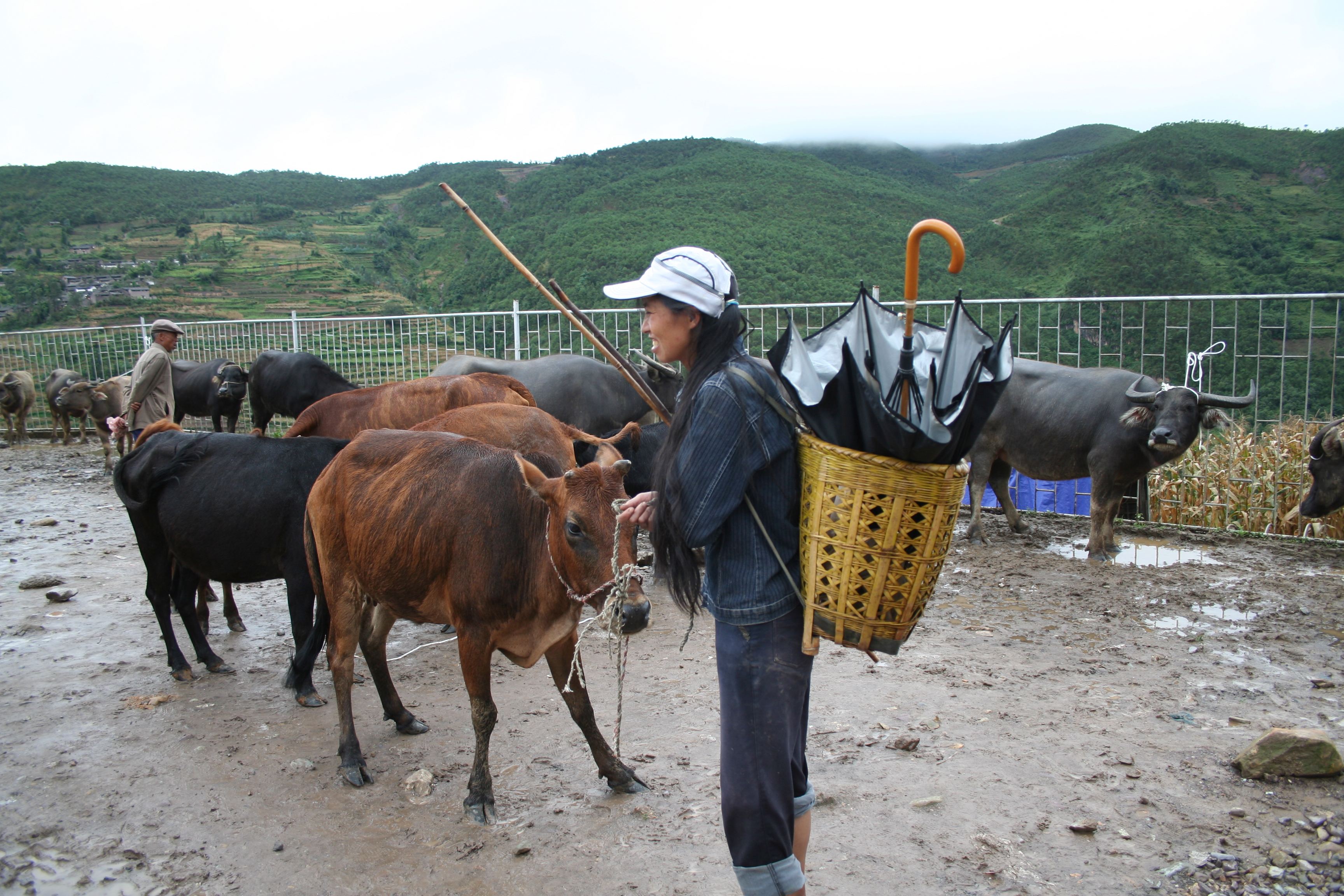 Livestock_Market_1.jpg