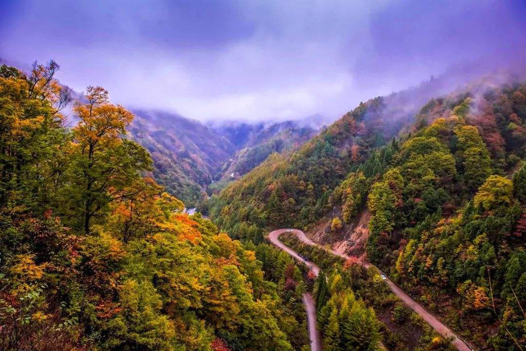 Wolong_Nature_Reserve.jpg