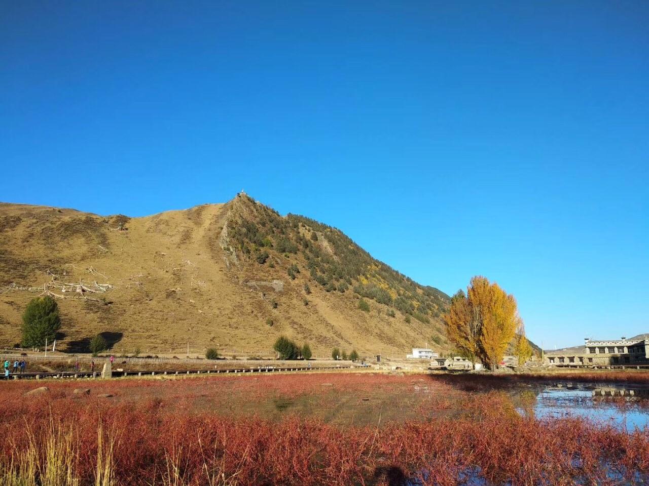 Sangdui_Grassland_1.jpg