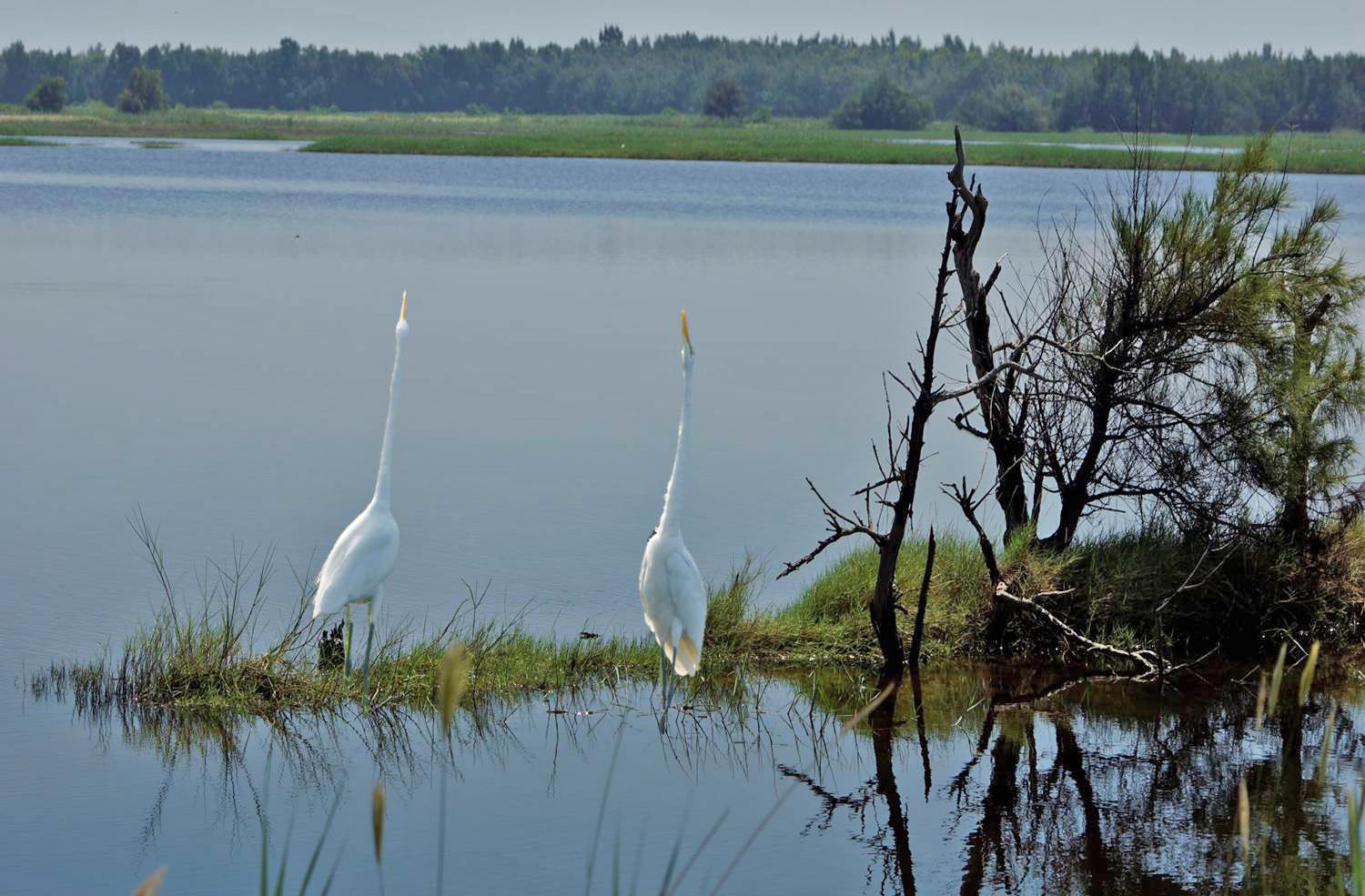 Bailuwan_Wetland_Park.jpg