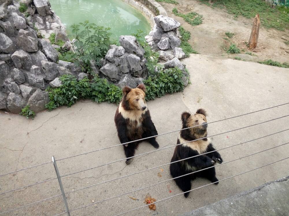 Chengzu_Zoo.jpg