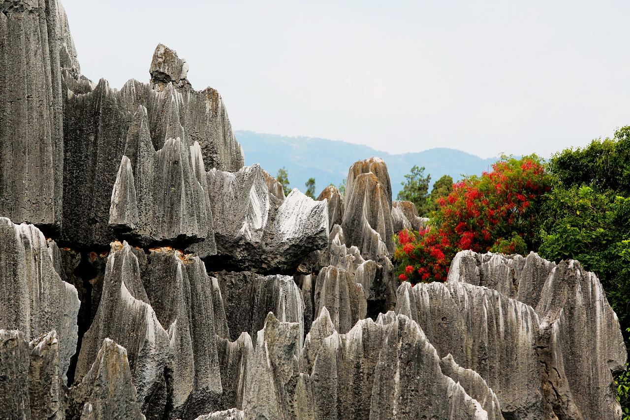 Stone_Forest_2.jpg