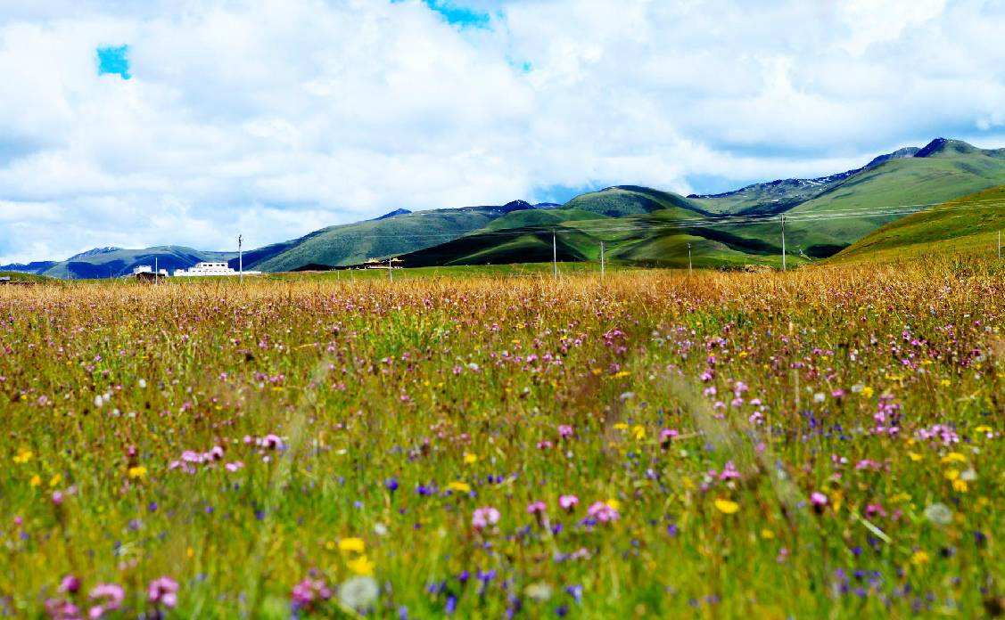 Longdeng_Grassland.jpg