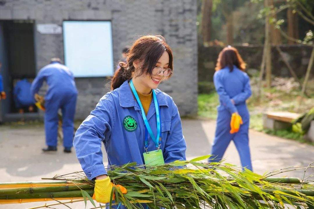 Bifengxia_Panda_Volunteer.jpg