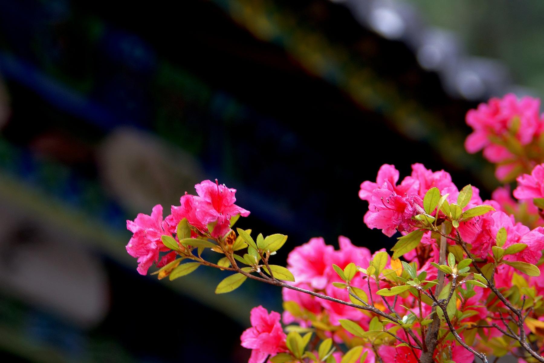 Yufeng_Temple_2.jpg