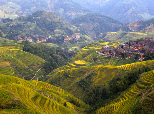 Longsheng Rice Terrace.png