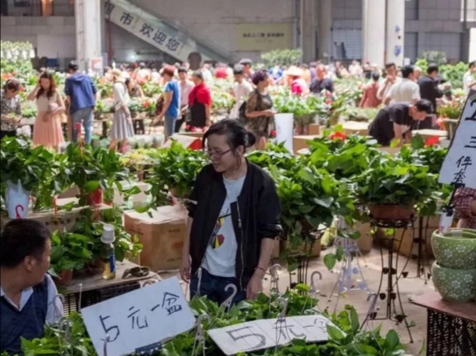 Jingxing Flower Market.jpg