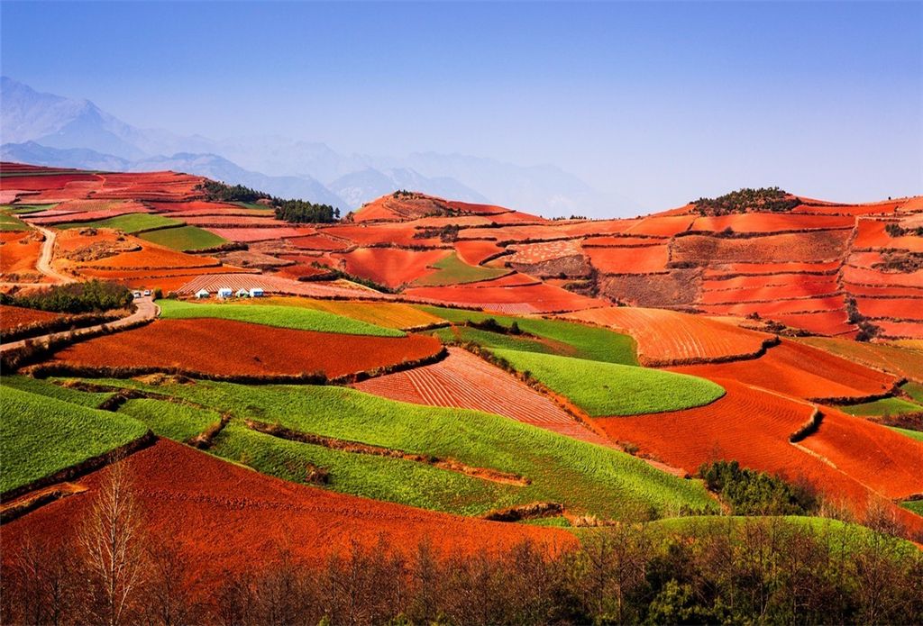 Dongchuan_Red_Land.jpg