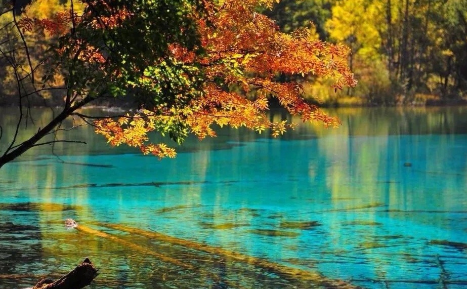 jiuzhaigou in autumn_01.jpg