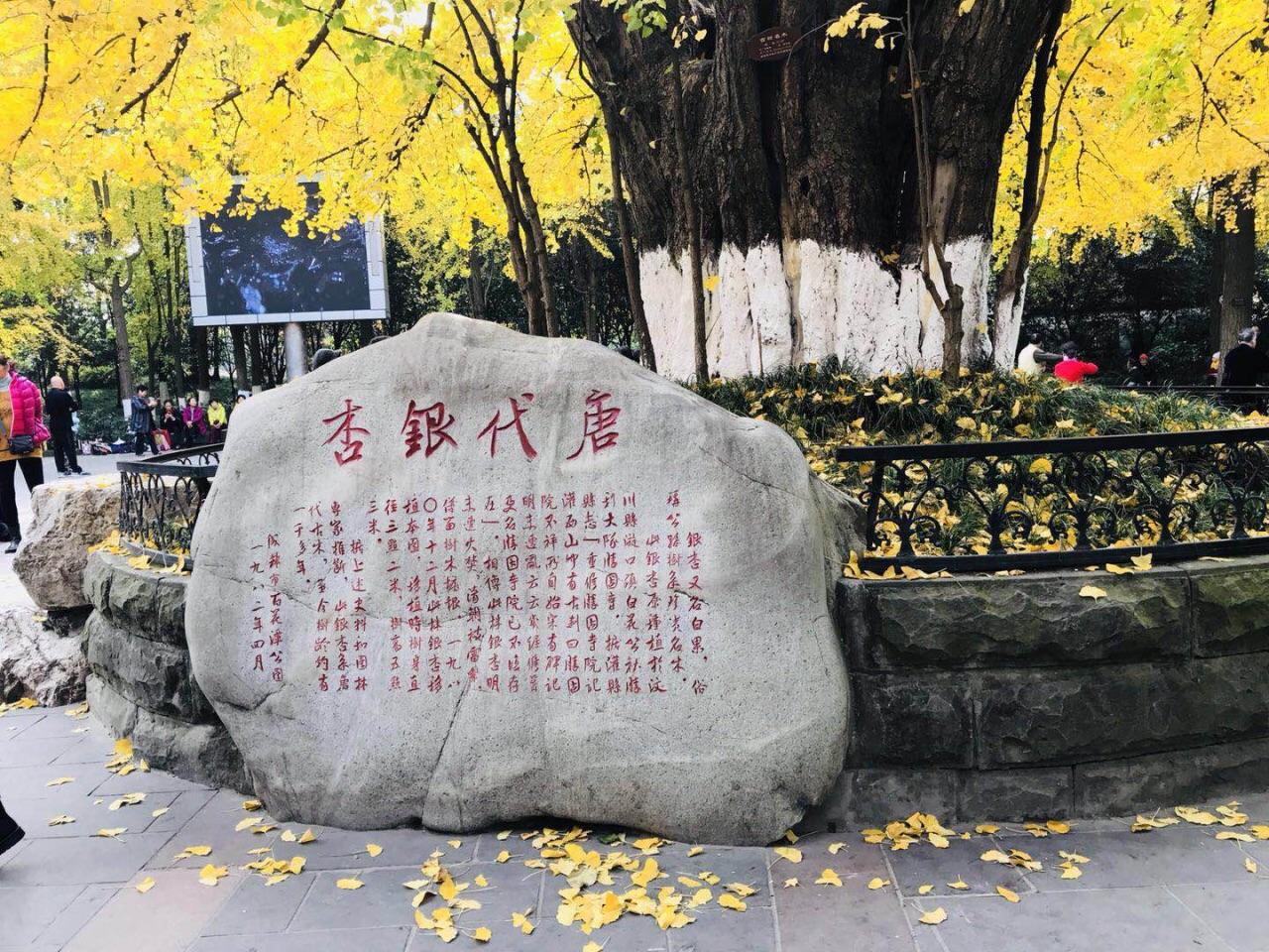 Baihuatan_Park.jpg