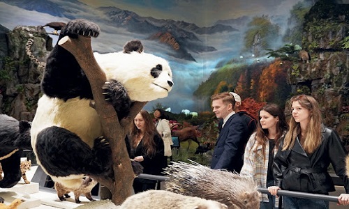 Wolong-Panda-Museum-Tour