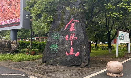 the-foot-of-jinfo-mountain