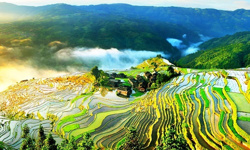 Jiabang-Rice-Terraces