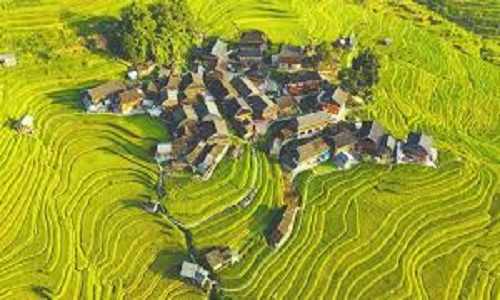 Jiabang-Rice-Terraces-Guizhou