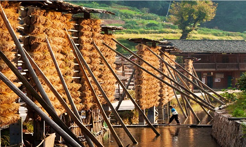 Zhanli-Dong-Village-Guizhou
